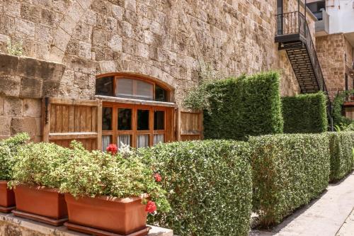 un edificio in pietra con piante davanti a una finestra di Old Town Guesthouses a Batroûn