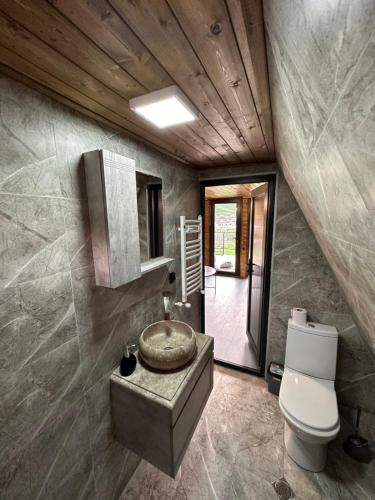 a bathroom with a sink and a toilet in a room at Alagi Cottage Kazbegi in Stepantsminda