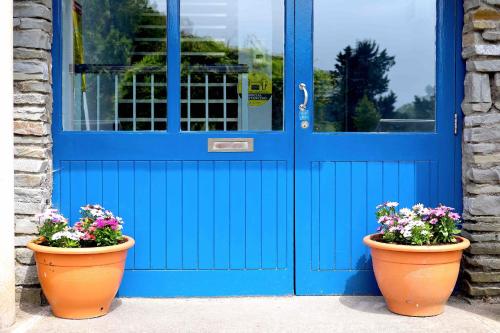 two pots of flowers in front of a blue door at Long Quay Apartments, Clonakilty in Clonakilty