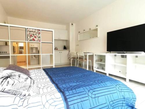 a bedroom with a bed and a flat screen tv at Studio Zen hypercentre parking privé WIFI in Salon-de-Provence