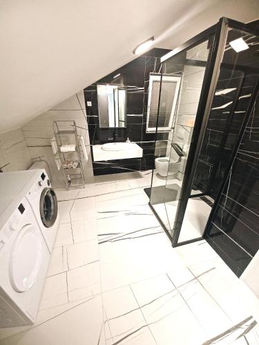 La salle de bains est pourvue d'un lave-linge et d'un lavabo. dans l'établissement Apartman Christina, à Bilice
