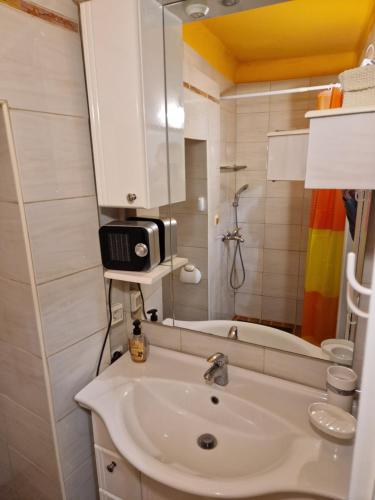 ein Bad mit einem Waschbecken und einem Spiegel in der Unterkunft Studio Lotrist in Radovljica