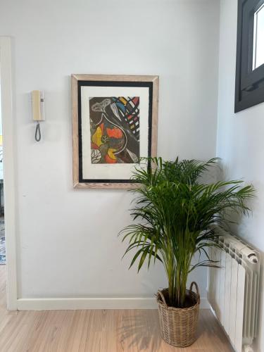 a plant in a basket in a room with a painting at DÚPLEX DE LUJO EN FOZ CON VISTAS al MAR in Foz