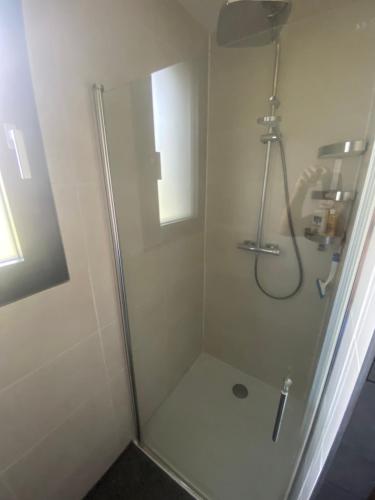 um chuveiro com uma porta de vidro na casa de banho em Appartement avec Terrasse couverte - La Motte-Servolex em La Motte-Servolex