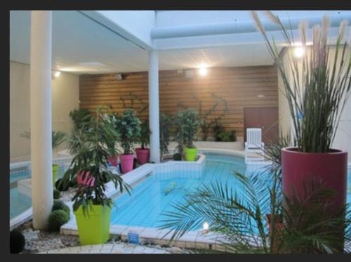 a swimming pool with potted plants in a building at Appartement Le Patio in Chauvigny