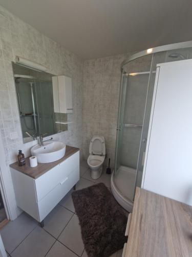 a bathroom with a sink and a toilet and a shower at Sólgarður Guesthouse in Bíldudalur