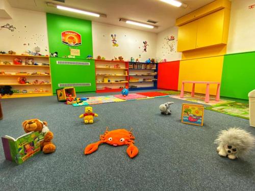 ein Zimmer mit Spielzeug auf dem Boden in einem Laden in der Unterkunft Hotel Lesní Chata in Kořenov