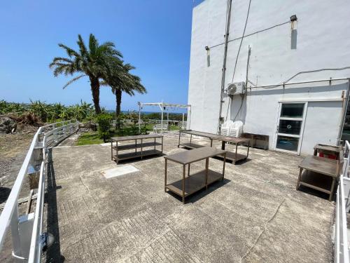 a patio with two benches and a palm tree at Cest La Vie in Eluan