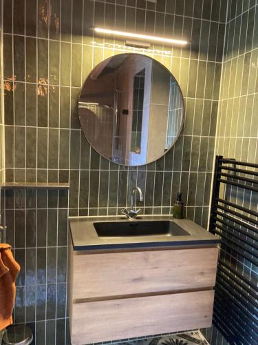 a bathroom with a sink and a mirror at De hoftuin Ilpendam appartement in Ilpendam