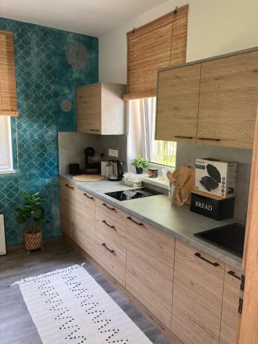 チェルナー・フ・ポシュマヴィーにあるBlue apartment Lipnoの木製のキャビネットとカウンタートップを備えたキッチン