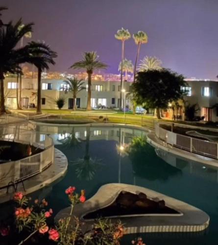 a large swimming pool with palm trees and buildings at Alojamientos Playa Centro Corralejo 3 in Corralejo