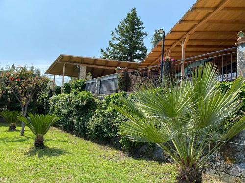 einen Garten mit Palmen und Pflanzen vor einem Haus in der Unterkunft B&B Belvedere in Presa