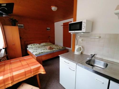 a small kitchen with a sink and a bed at Apartmány 670 pod Lysou horou in Rokytnice nad Jizerou