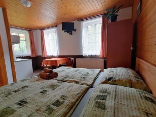 two twin beds in a room with two windows at Apartmány 670 pod Lysou horou in Rokytnice nad Jizerou