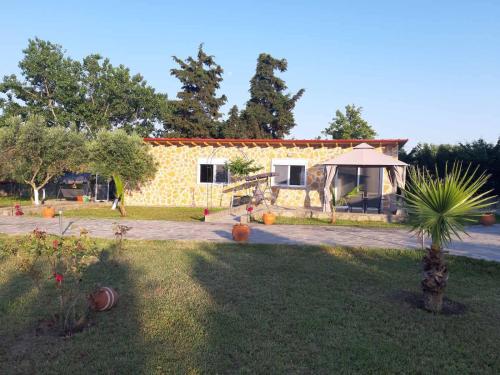 a house with a palm tree in front of it at Ktima Argiri in Ormos Panagias