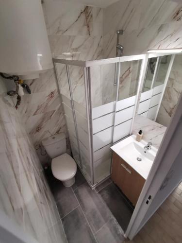 une salle de bain avec toilettes, lavabo et miroir dans l'établissement Jolie studio avec la vue sur la mer, à Saint-Cyprien