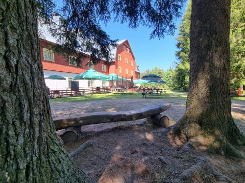a wooden bench sitting between two trees in a park at Hotel Lesní Chata in Kořenov