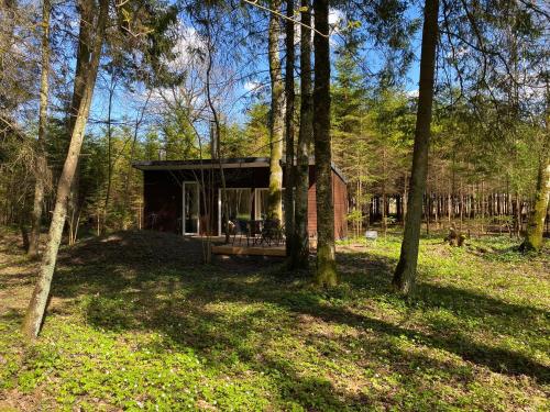 una pequeña cabaña en el bosque con árboles en Miško sielos namelis su pirtele en Aukštelkė