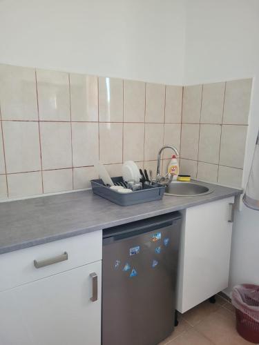a kitchen with a sink and a dishwasher at Vila Didi, Mangalia in Mangalia