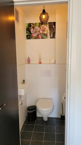 a bathroom with a toilet and a picture on the wall at Betuwe Huisje in Meteren