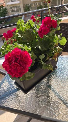 a bouquet of red flowers sitting on a table at M.O.M.’s in Alexandroupoli