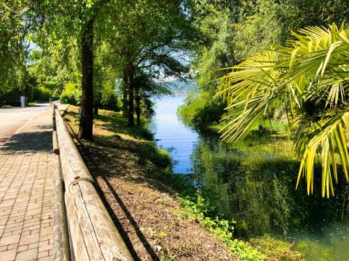a path next to a river with trees and a road at This is my happy place in Leggiuno