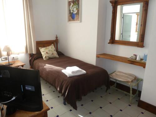 1 dormitorio con 1 cama, TV y espejo en Hotel Entreolivos en El Pedroso