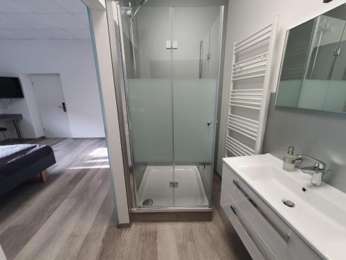 een badkamer met een glazen douche en een wastafel bij Hotel FeWo-HM in Ramstein-Miesenbach