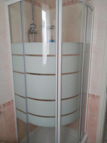 una doccia con porta in vetro in bagno di Delle Rose apartment a Eraclea Mare