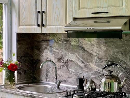 a kitchen counter with a sink and a stove at Secret Garden Guest House in Gabala