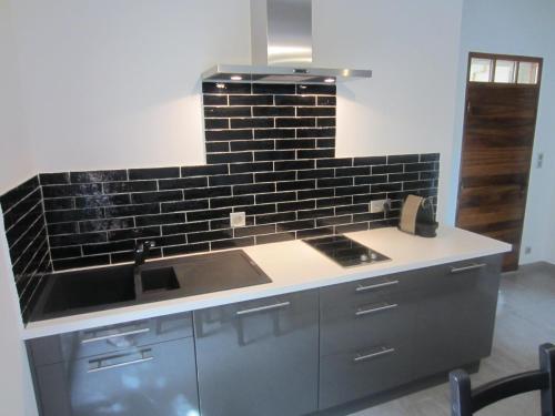 a kitchen with a sink and a black brick wall at Apartement Les Alpilles in Eygalières