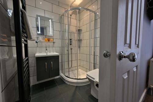 a bathroom with a shower and a sink and a toilet at Duke Of Leinster Hotel in London