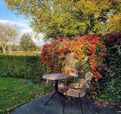 a table and two chairs in front of a bush at Silo 161 in Ruinerwold