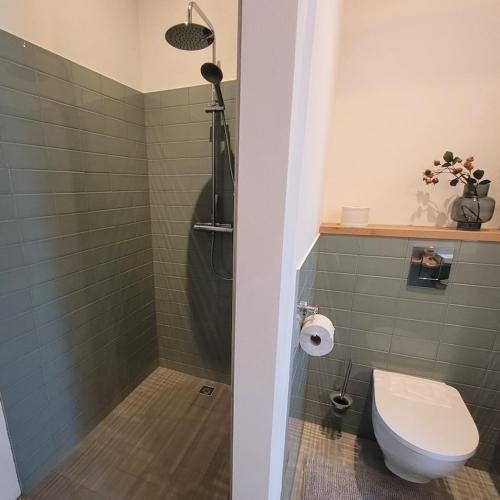 a bathroom with a shower with a toilet and a sink at Silo 161 in Ruinerwold