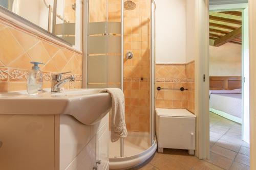 y baño con lavabo y ducha. en Appartamento Fetovaia en Riotorto