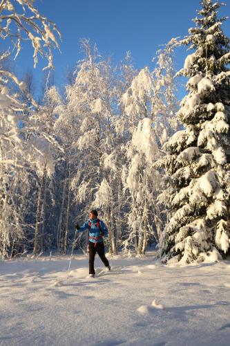 a person is cross country skiing in the snow at Sikfors Herrgård in Hällefors