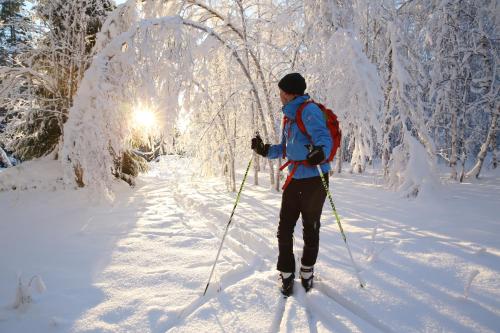 a man is cross country skiing in the snow at Sikfors Herrgård in Hällefors