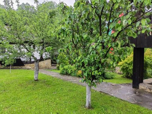 two trees in a yard with green grass at Къща за гости КИМ in Apriltsi