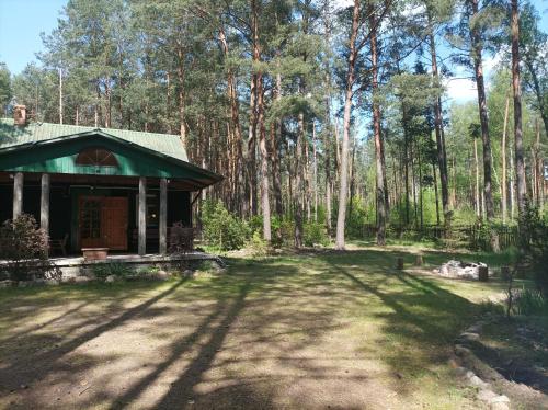 Fantastyczny domek w lesie