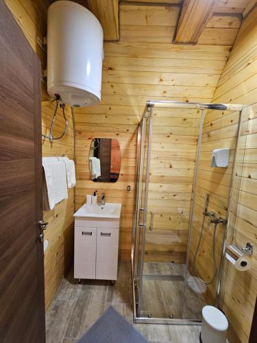 a bathroom with a shower and a sink at Oaza Jela in Mitrovac