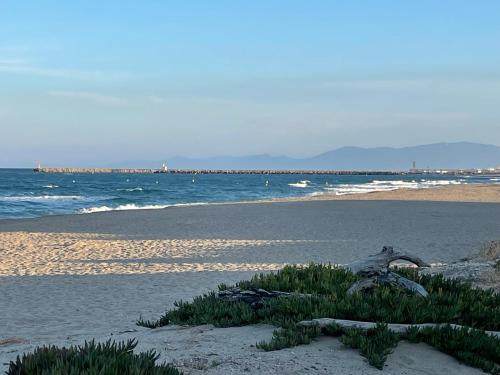 a sandy beach with some grass in the sand at Ferienhaus in résidence naturiste direkt am Strand in Leucate
