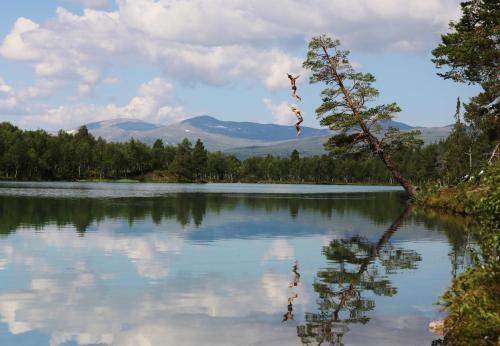 a bird flying over a lake with mountains in the background at Vålådalens Fjällstation in Vålådalen