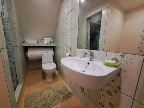 ein Badezimmer mit einem Waschbecken, einem WC und einem Spiegel in der Unterkunft Māja ģimenes brīvdienām laukos 