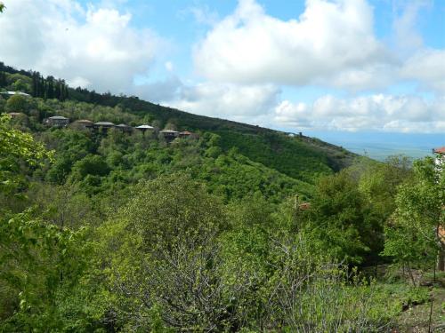 a green hillside with trees and the ocean at Guest house Gidi in Sighnaghi