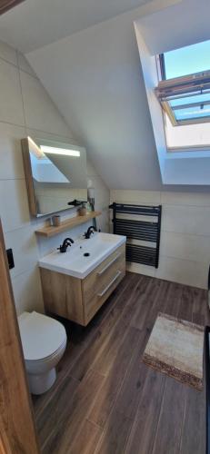 a bathroom with a sink and a toilet and a skylight at Mountain views apartment in Bohinj