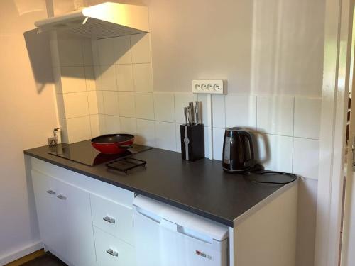 - une cuisine avec un comptoir et un bol dans l'établissement Lake view, à Saint-Sulpice-Laurière