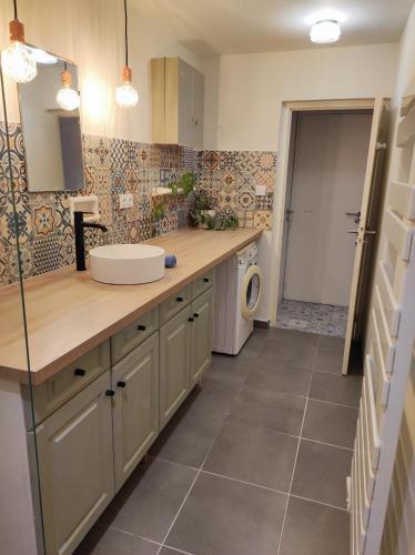 une salle de bain avec un lavabo et une machine à laver dans l'établissement Logement cosy verdoyant RDC avec piscine, à Charmes-sur-Rhône