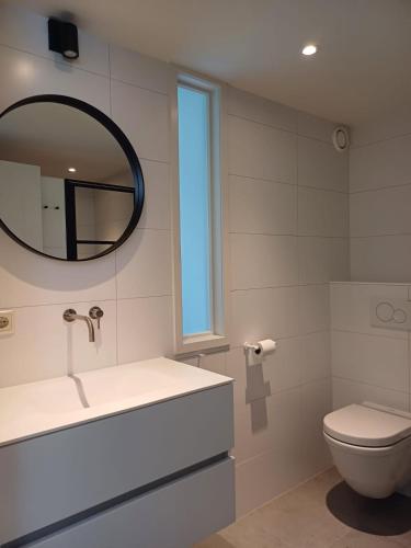 a bathroom with a sink and a toilet and a mirror at Vince appartement Culemborg in Culemborg