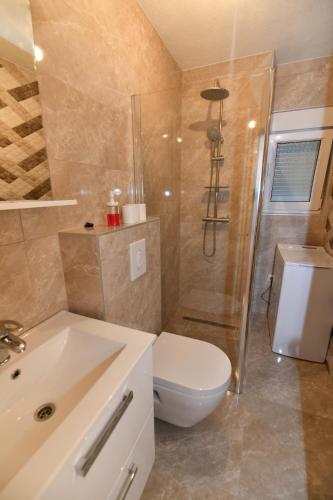 a bathroom with a toilet and a shower and a sink at Apartmani Ajduković in Sevid