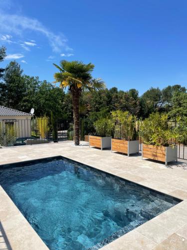 una piscina in un cortile con una palma di Villa-jacuzzi-1chb-jardin-10minsAixEnPce-QuartierChic a Meyrargues
